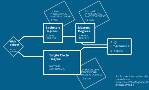 Italian University System chart