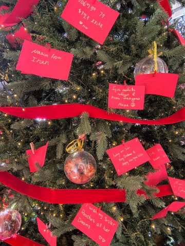 UniME Christmas tree 2025