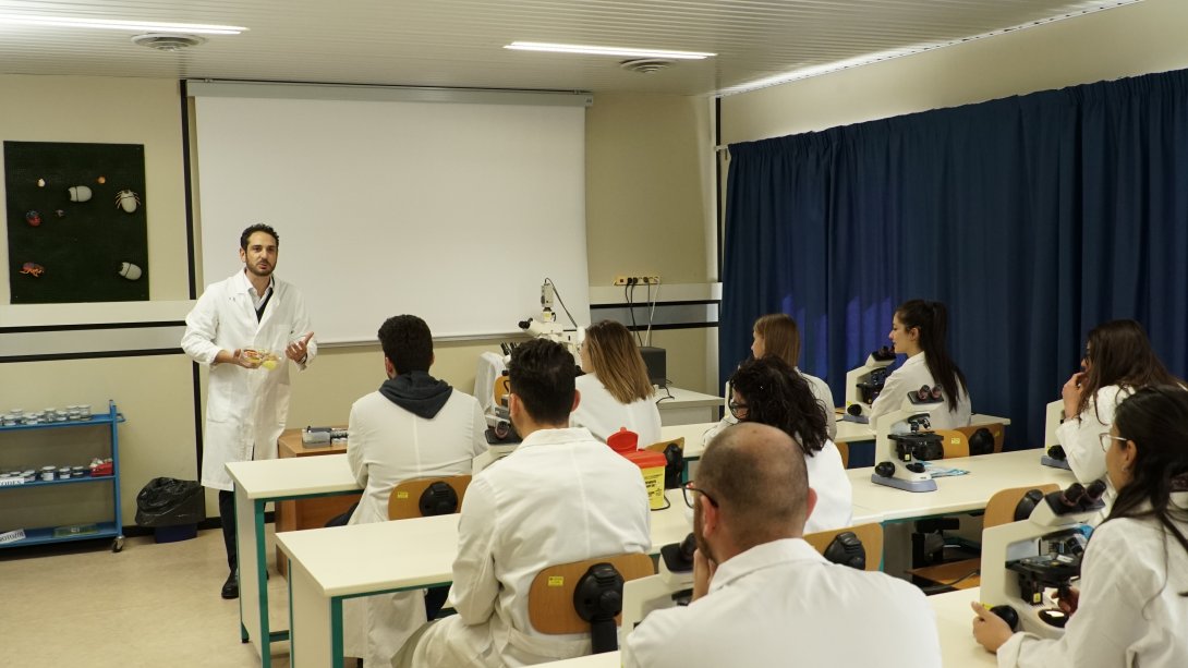 Aula