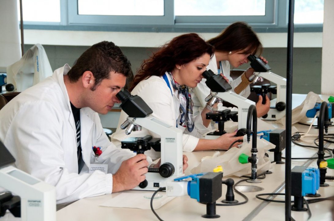 Picture of people using microscopes