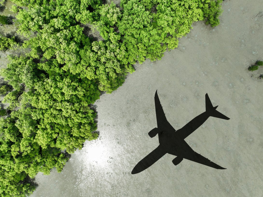 aviation and sustainability